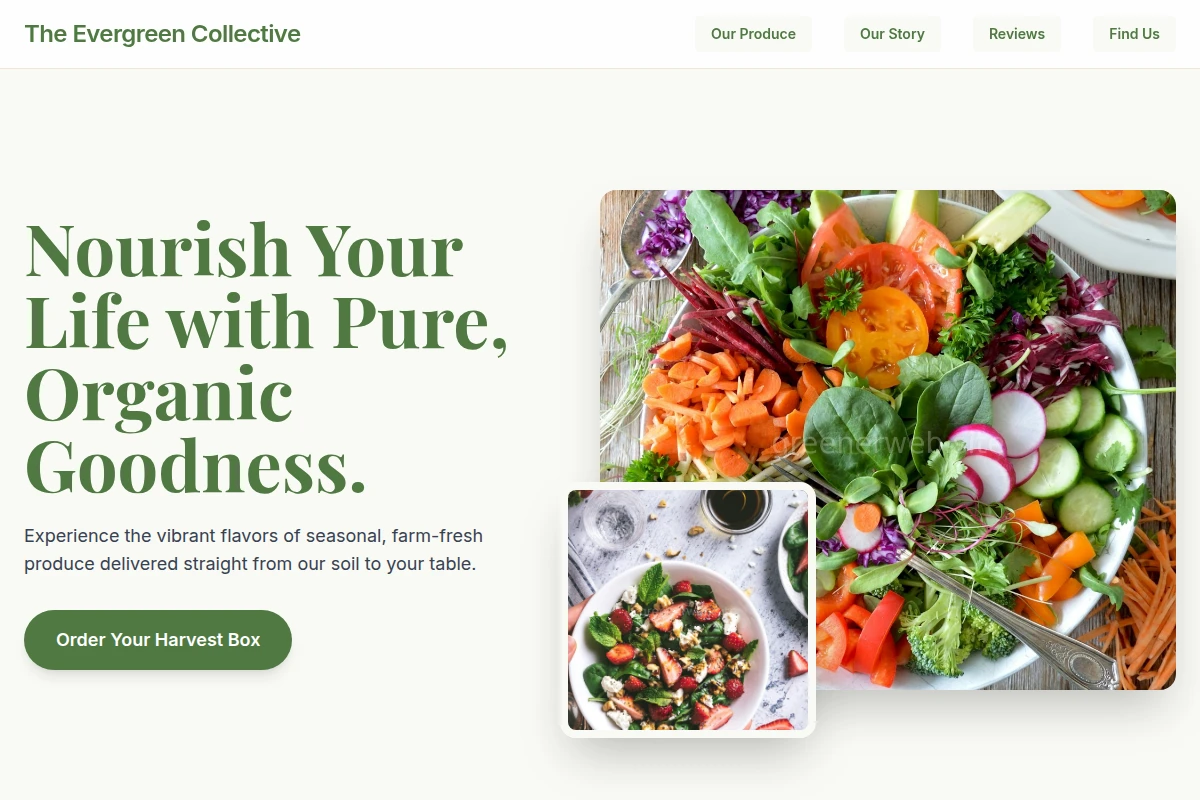 Moss Organic Food