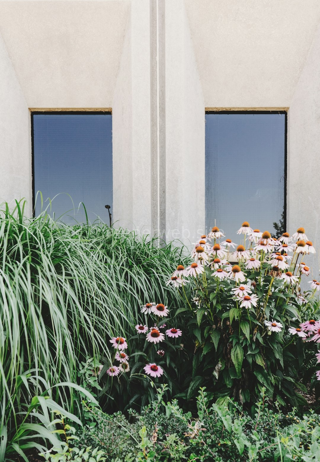 Garden Background