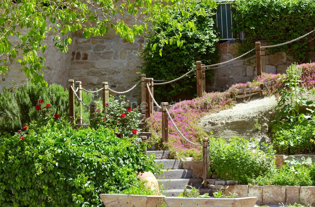 Lush Garden
