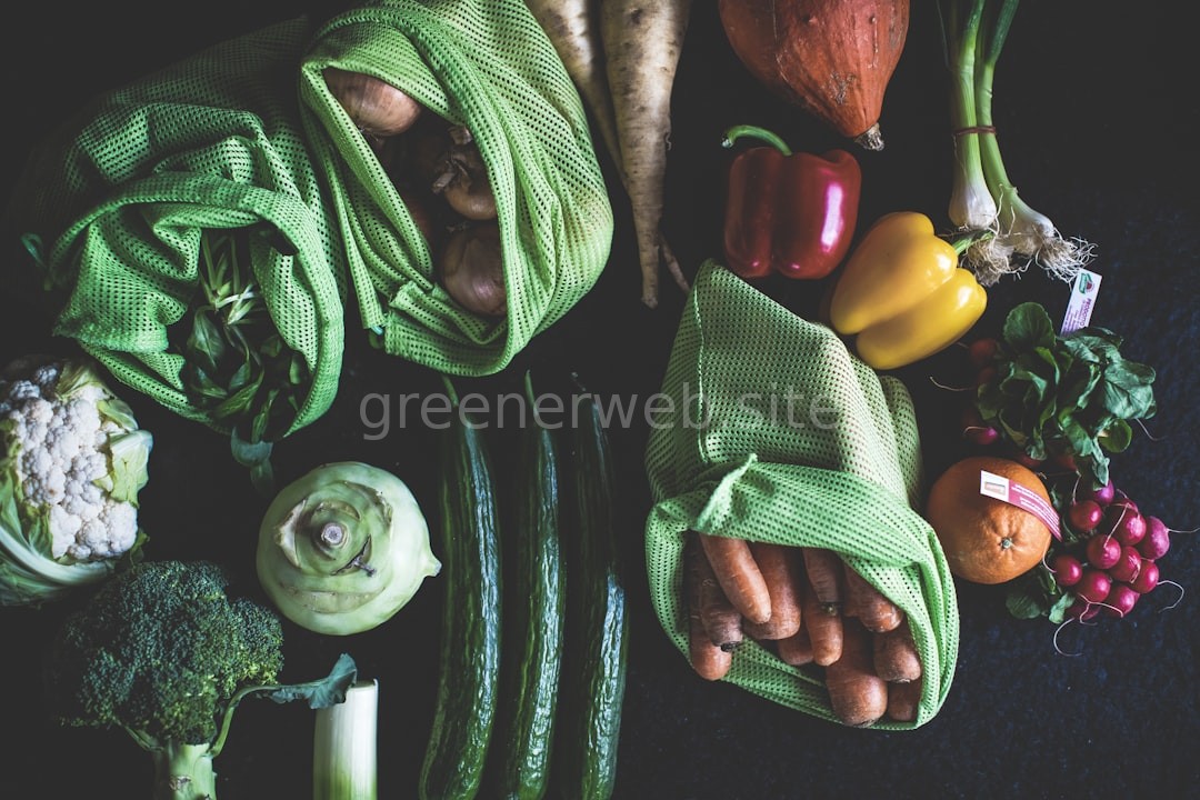 Zero waste lifestyle